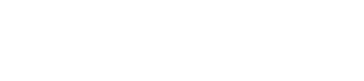 Fizyomore  